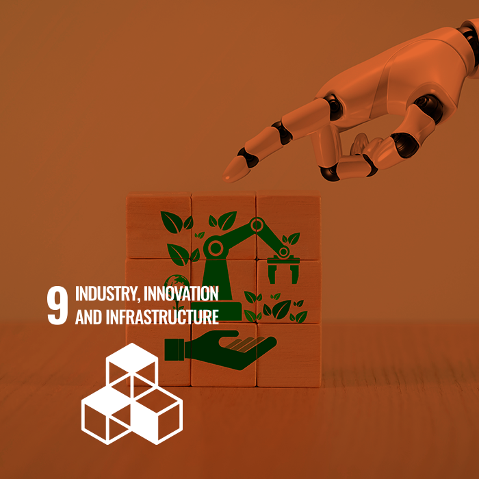 Industry, innovation and infraestructure